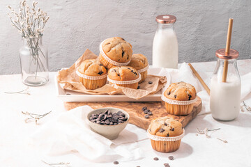 Wall Mural - Chocolate chip muffins with milk