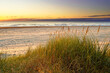 Beach grass and the ocean at sunset. North Holland dune reserve, Egmond aan Zee, Netherlands.