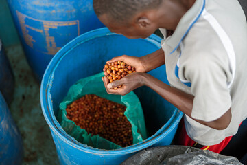 top view of african americam worker placing coffee beans in the bag into a plastic container at farm