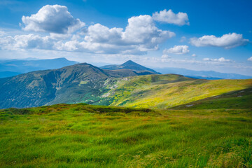 Wall Mural - carpathian mountains landscape. summer trekking route in alpine highlands range. green grass meadow,