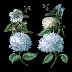 Wall Mural - Bouquets with blue hydrangeas and other flowers isolated. Vector.