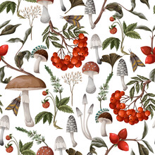 Autumn Seamless Pattern With Mushrooms, Berries And Plants. Botanical Vector.