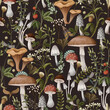 © Yumeee - Autumn seamless pattern with mushrooms, berries and bugs. Natural trendy print.