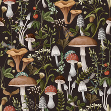Autumn Seamless Pattern With Mushrooms, Berries And Bugs. Natural Trendy Print.