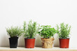 © PANDA - Fresh herbs in garden pots on a light background with place for text