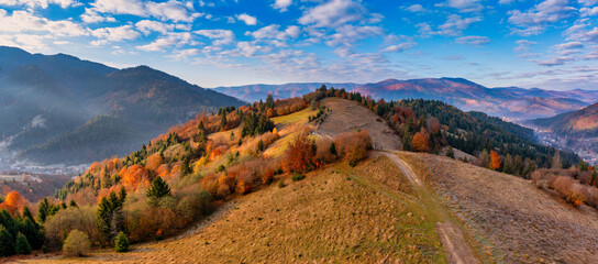 Bright colorful autumn forest and meadow at dawn. Drone view