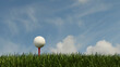 3D Rendering : a white golf ball on tee and green grass. ready for shot. sport background concept. texture of golf ball with blue sky background.