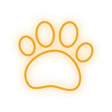 Paw Print Neon Signboard Icon