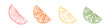 Grapefruit, orange, lemon and lime slices. Citrus fruit sketch set. Hand drawn vector illustration. Pen or marker doodle