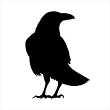 Raven Silhouette Flat Icon Vector Illustration Clipart