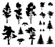 Set Of Trees And Plants. Coniferous Forest With Firs And Pines. For Landscape With Trees And Grass. Silhouette Picture. Isolated On White Background. Vector.