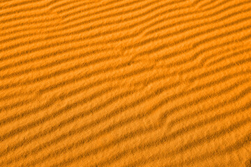 Wall Mural - Closeup view of orange sand dune in desert as background