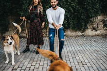 Young Attractive Couple Walking Their Dogs
