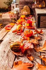 Sticker - Beautiful autumn decoration with pumpkins, lantern and leaves for patio