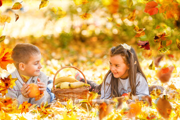 Wall Mural - Two little cute smiling kids in bright jackets walking together in a park on a sunny autumn day. Friendship between siblings. Happy family concept 