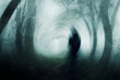 A spooky, scary figure with glowing eyes, standing in a forest on a foggy winters day. With a blurred nightmare edit.