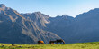 © ADDICTIVE STOCK - Horses grazing in picturesque mountainous valley