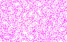 Pink Small Stripes On A White Background
