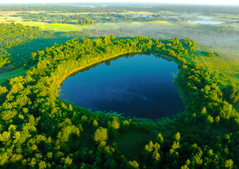 Lake in a morning mist at sunrise. Pond in rural landscape. Forest Lake in wild at dawn in fog, aerial view. Sunny morning scene in misty at swamp. Misty landscape. Wonderful mist on Freshwater lakes.