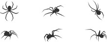 Halloween Spider Set Icons. Silhouette Of Black Insect Icon. Vector Holiday October Poster, Flat Horror