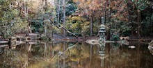 Panoramic Landscape Of A Pond At The Morikami Japanese Gardens In Florida, USA