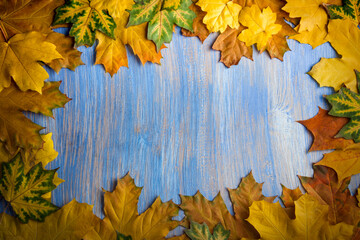 autumn leaf on blue wood background (top view)