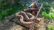 Tasty homemade sausage made of beaver meat cooking on grill. Beaver meat sausages are cooked on coals.