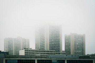 Wall Mural - Fogy view on buildings in Paris