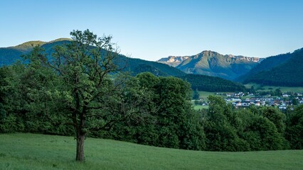 Poster - View of picturesque green trees and majestic mountains. Charming Austrian nature