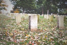 View Of Confederate Grave Headstones In The Stones River Battlefield & Cemetery, Tennessee