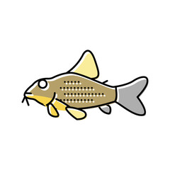 Wall Mural - cory catfish color icon vector illustration