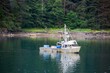 Terrific cove in Alaska, with a tranquil lake and a fishing boat with a background of dense forest