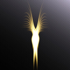 Poster - Abstract effect of glowing fiery phoenix wings. eps vector