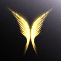 Poster - Abstract effect of glowing fiery phoenix wings. eps vector