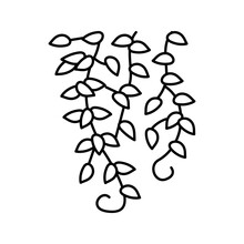 Liana Growing Branch Line Icon Vector Illustration