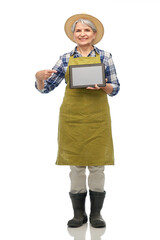 Wall Mural - gardening, farming and old people concept - portrait of happy smiling senior woman in green garden apron, straw hat and rubber boots showing tablet pc computer over white background