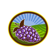 Sticker - Grapes Vineyard Farm Oval Woodcut