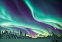 Northern Lights Over The Forest. Aurora Borealis With Starry In The Night Sky. Fantastic Winter Epic Magical Landscape