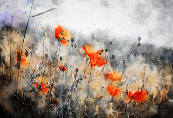 Red poppies in the field, watercolor art