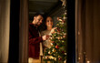 © Syda Productions - winter holidays and people concept - happy couple decorating christmas tree at home