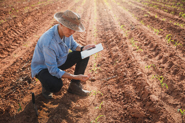 Agronomist Using tablet and Technology in Agricultural Corn Field . Farmer walking in corn field with  tablet.Man farmer with laptop and walking on harvested corn field .