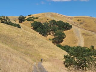 Wall Mural - A hiker goes down the hill back to the town in Sycamore Valley Open Space Preserve