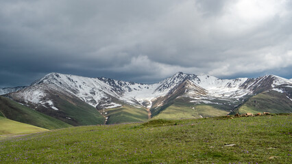 White mountain peaks against a background of green hills