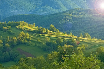 Wall Mural - Bright rolling countryside the morning light. Picturesque day and gorgeous scene. Location place Carpathian, Ukraine, Europe. Concept ecology protection. Explore the world nature freshness concept