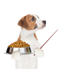 Poster - Jack Russell Terrier puppy holds bowl of dry dog food and points away on empty space. isolated on white background