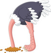 Ostrich hiding its head in the hole