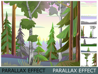 Wall Mural - birch in pine forest. beautiful scene in nature. nice summer landscape in morning or in evening. ima