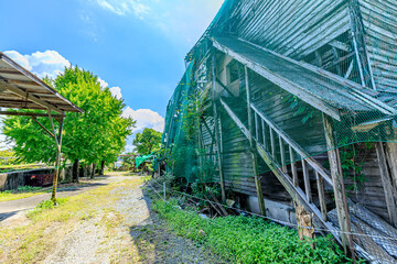 夏の三池炭鉱三川坑跡　福岡県大牟田市　Miike Coal Mine Mikawa Pit Ruins in Summer. Fukuoka-ken Oomuta city.