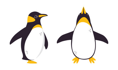 Sticker - Emperor penguins set. Cute antarctic bird. Symbol of cold and winter flat vector illustration