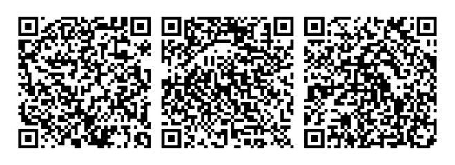 Vector QR code